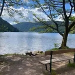 Au Bord Du Longemer 샬레 *