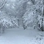 샬레 Au Bord Du Longemer 종루프 롱지메르