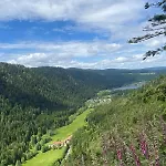 Au Bord Du Longemer *