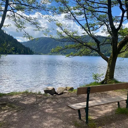 Au Bord Du Longemer Chalet *