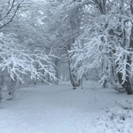 Σαλέ Au Bord Du Longemer Xonrupt-Longemer