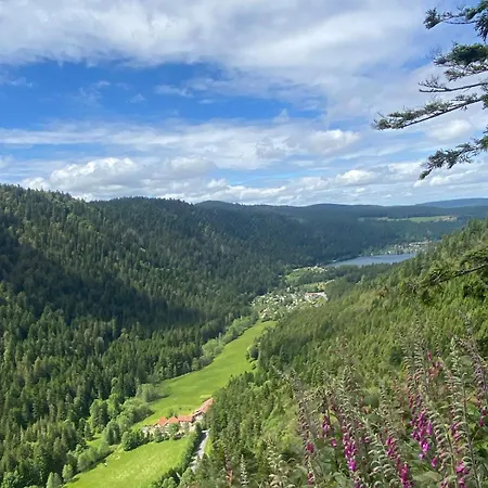 Au Bord Du Longemer *