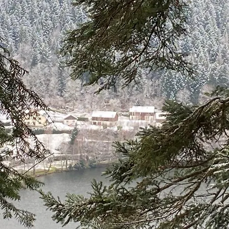 Au Bord Du Longemer Σαλέ *