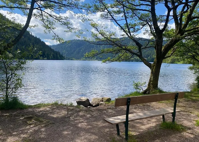 Au Bord Du Longemer Horská chata *