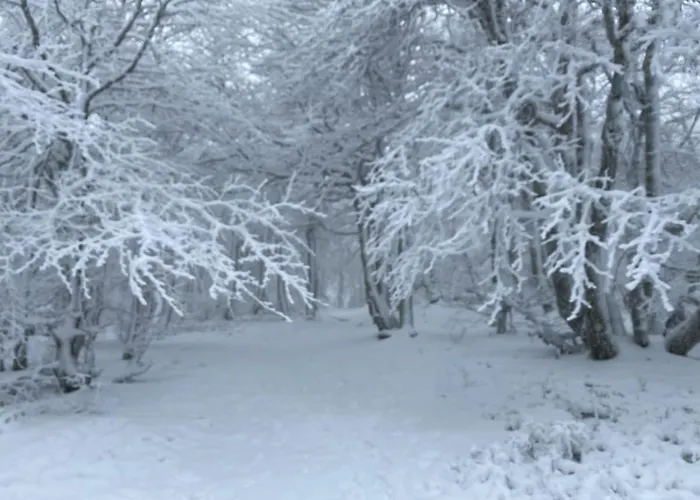 Horská chata Au Bord Du Longemer Xonrupt-Longemer