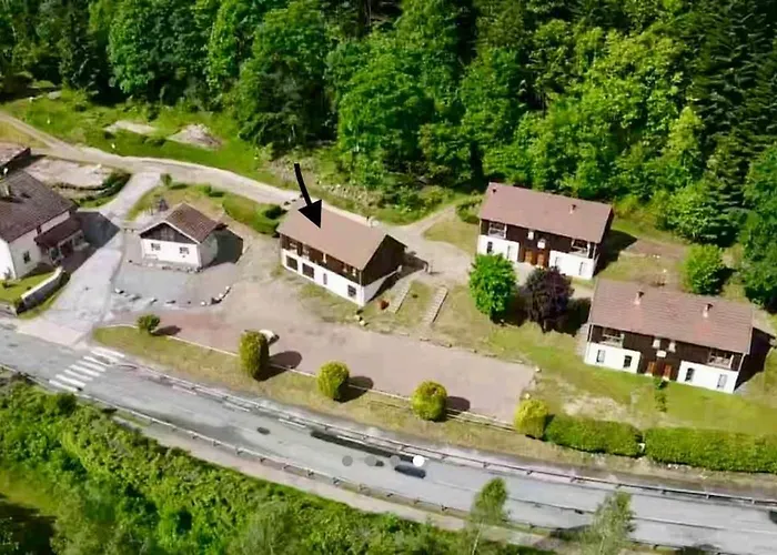 Au Bord Du Longemer *